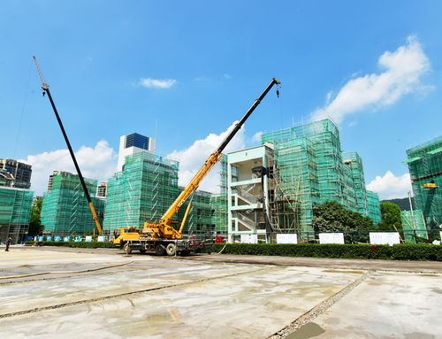 明珠小學改擴建工程有序推進，景觀工程為校園增添新氣象