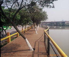 景觀工程服務解析 河堤、防腐木與地面鋪設價格信息