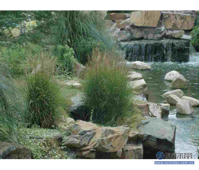 百草園供應可靠的園林景觀工程，寧波與博羅縣專業服務