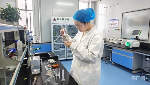 阜康雙輪驅(qū)動(dòng) 科技創(chuàng)新引領(lǐng)綠色產(chǎn)業(yè)升級與網(wǎng)絡(luò)技術(shù)服務(wù)發(fā)展