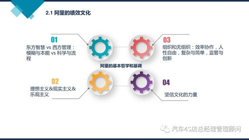 阿里巴巴組織能力建設(shè)的核心密碼 從文化、戰(zhàn)略到人才的三維驅(qū)動